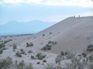 Maranjab desert (61)     